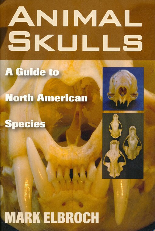 Animal skulls : a guide to North American species