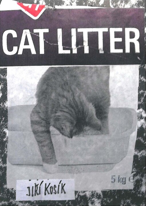 Cat litter