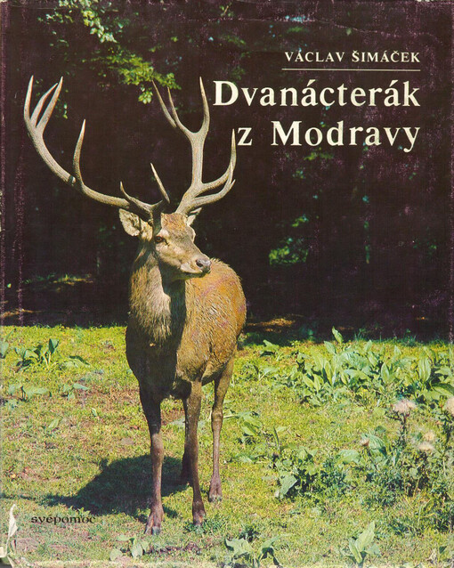 Dvanácterák z Modravy