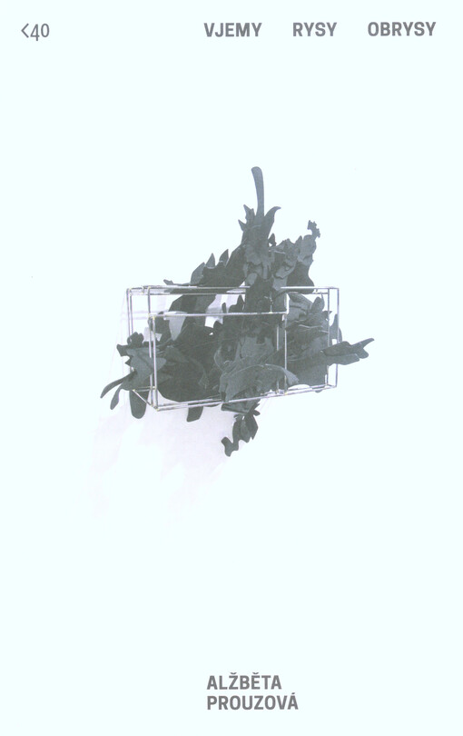 Alžběta Prouzová : vjemy, rysy, obrysy