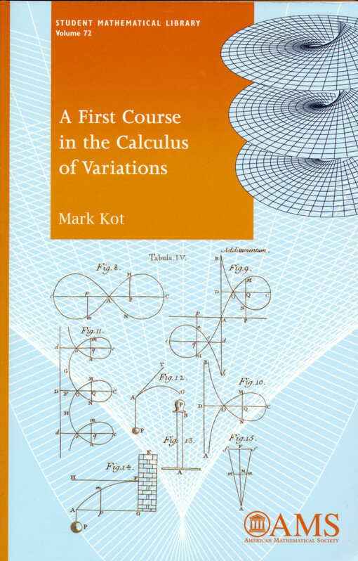 A first course in the calculus of variations