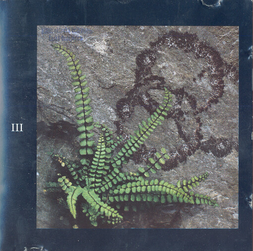 Led Zeppelin. Disc three