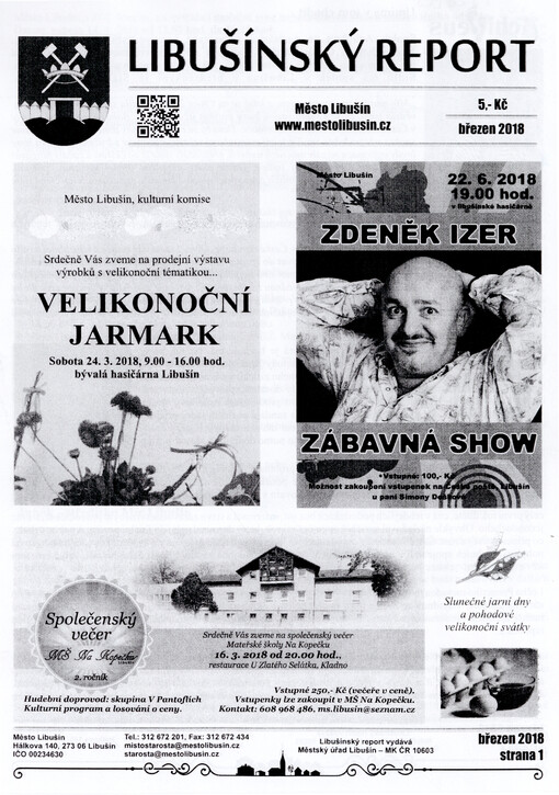 Libušínský report