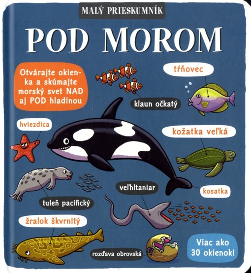 Malý prieskumník: pod morom