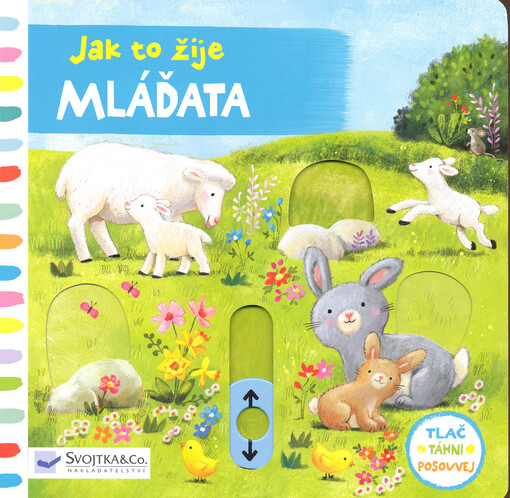 Jak to žije - mláďata