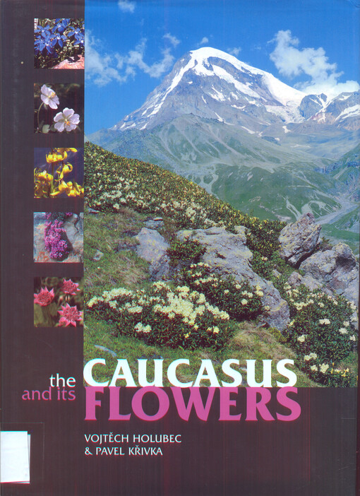 Caucasus and its flowers