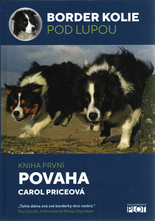 Border kolie pod lupou 1