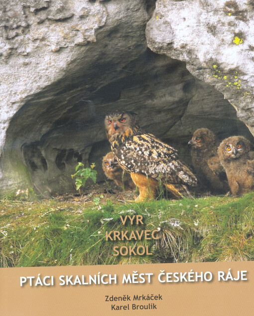 Ptáci skalních měst Českého ráje