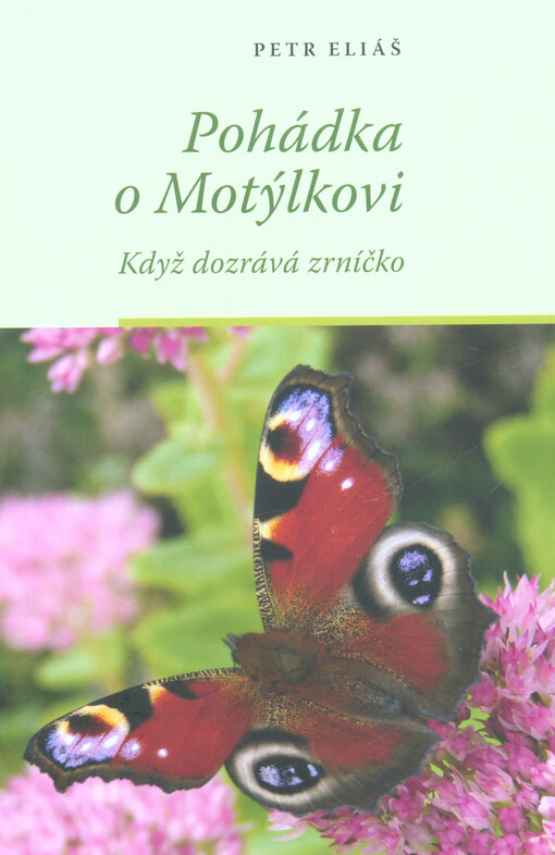 Pohádka o Motýlkovi : když dozrává zrníčko