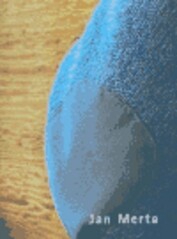 Jan Merta : obrazy 1985-2005 : Moravská galerie v Brně, 16.6.-18.9.2005, Východočeská galerie v Pardubicích, 7.12.2005-19.2.2006