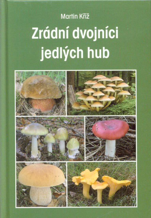 Zrádní dvojníci jedlých hub