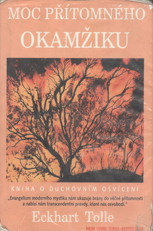 Moc přítomného okamžiku: kniha o duchovním osvícení