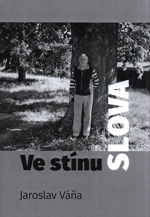 Ve stínu slova