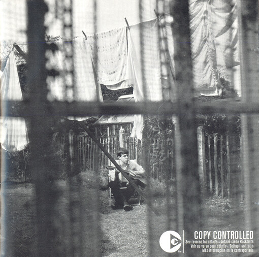 Chaos and creation in the backyard