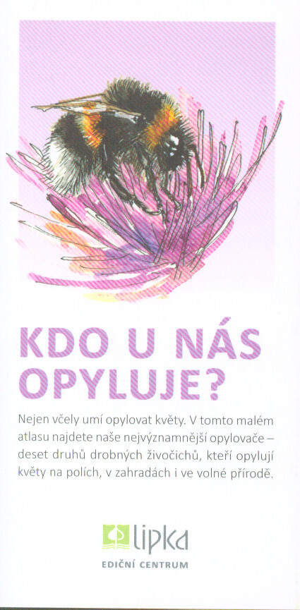 Kdo u nás opyluje?