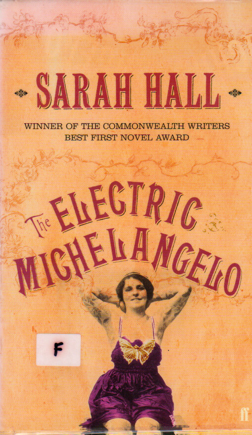 The Electric Michelangelo