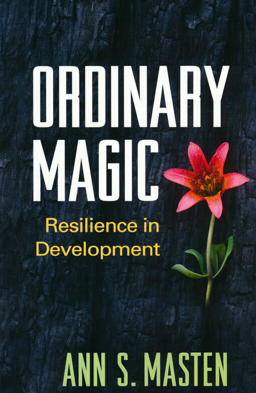 Ordinary magic : resilience in development