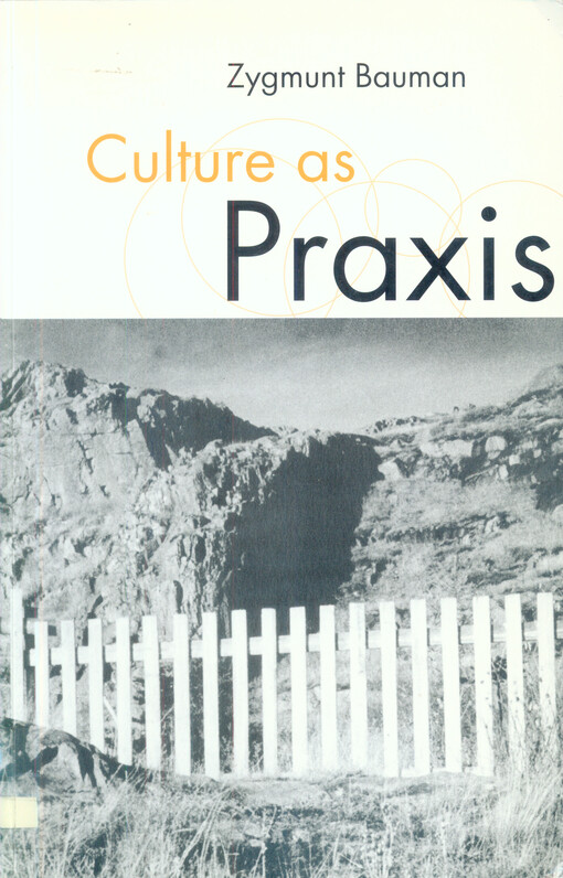 Culture as praxis