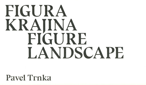 Figura Krajina / Figure Landscape