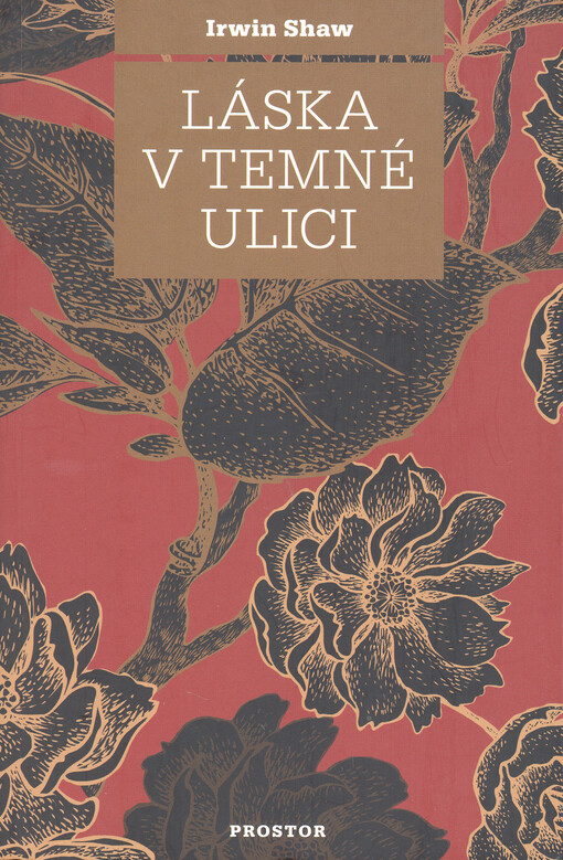 Láska v temné ulici