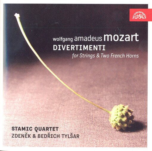 Divertimenti for strings & two French horns
