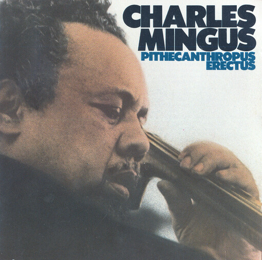 Pithecanthropus erectus