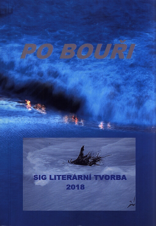 Po bouři : soutěž 2017