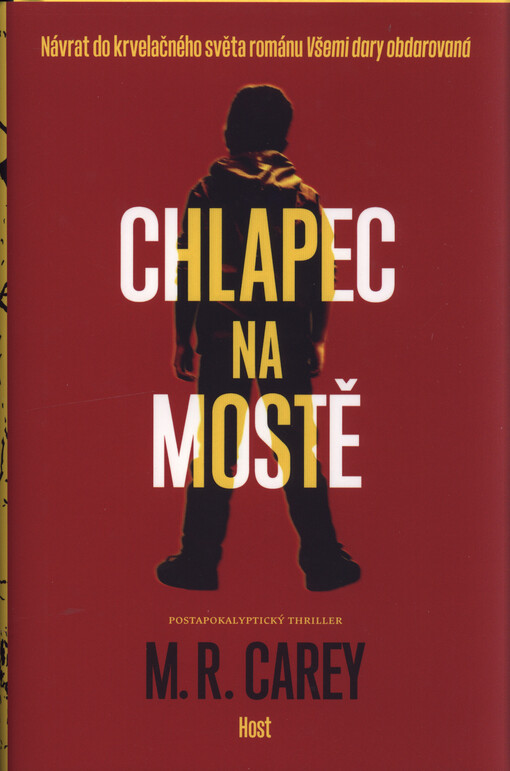 Chlapec na mostě