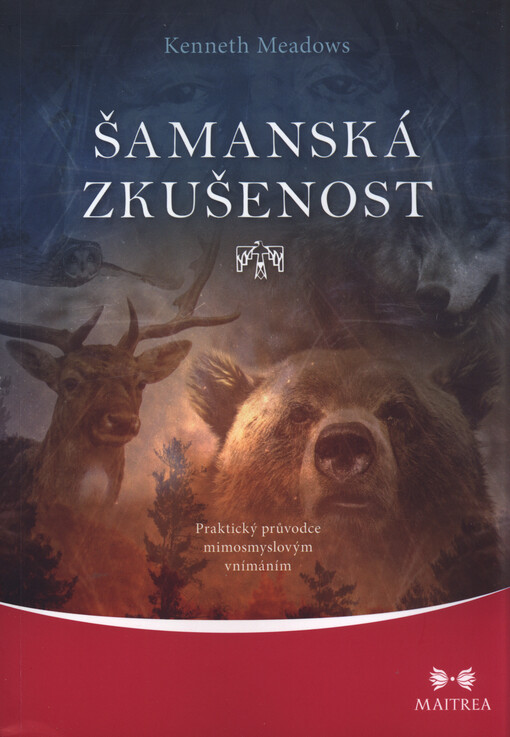 Šamanská zkušenost
