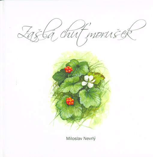 Zašlá chuť morušek