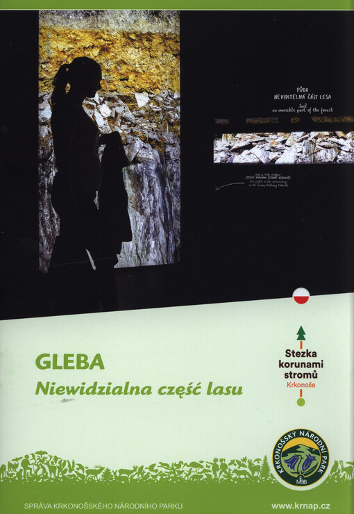 Gleba : niewidzialna część lasu