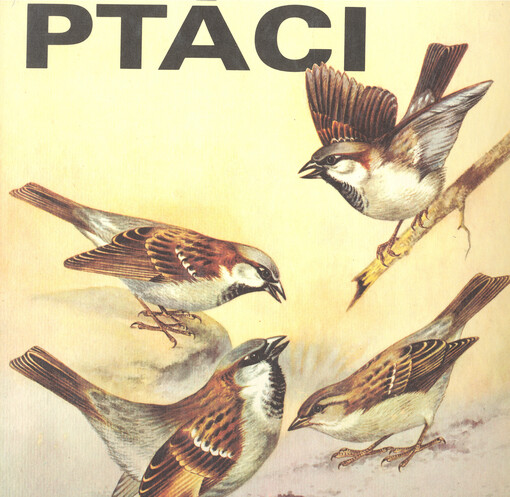 Ptáci