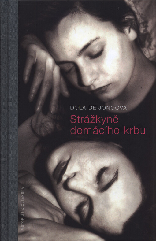 Strážkyně domácího krbu