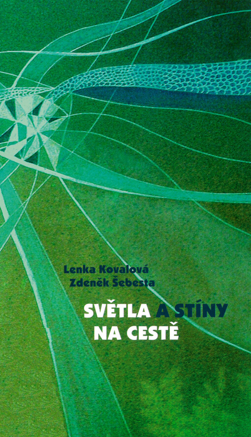 Světla a stíny na cestě