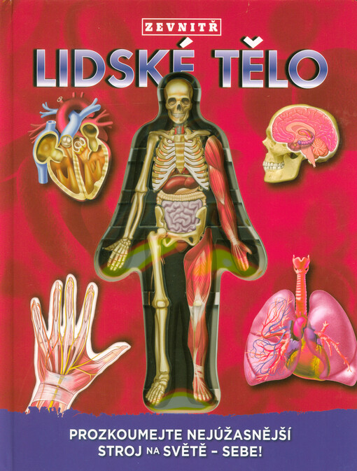 Lidské tělo zevnitř