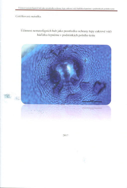 Účinnost nematofágních hub jako prostředku ochrany řepy cukrové vůči háďátku řepnému v podmínkách polního testu