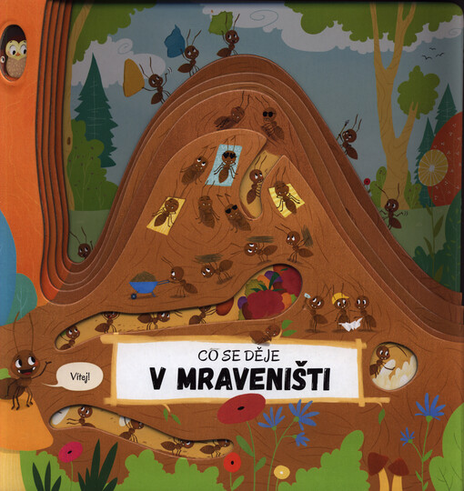 Co se děje v mraveništi
