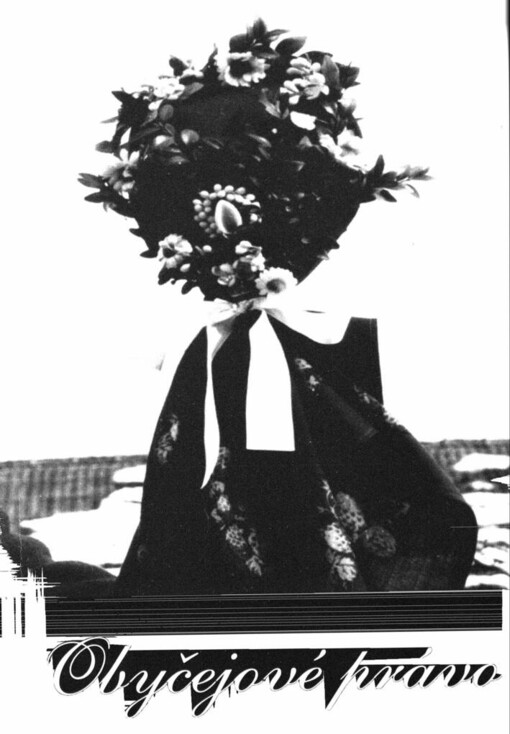 Obyčejové právo: sborník příspěvků