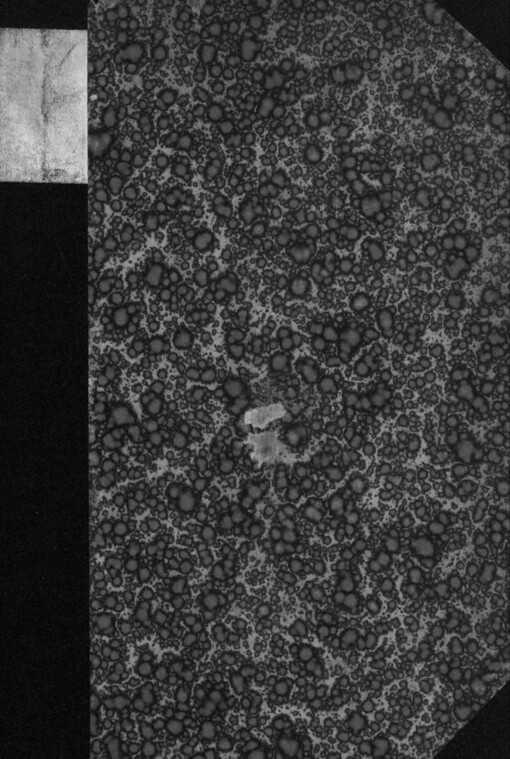 Dialektický slovník moravský