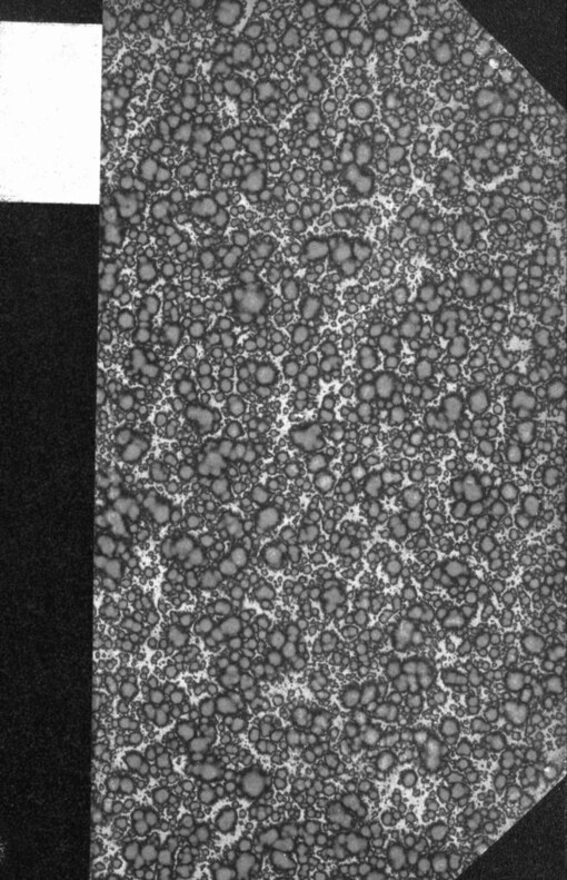 Podrobný seznam slov Rukopisu Kralodvorského se zvláštním zřetelem ke kritice čtení a výkladu