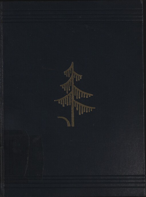 Mezi proudy :tři historické obrazy.I,Dvojí dvůr