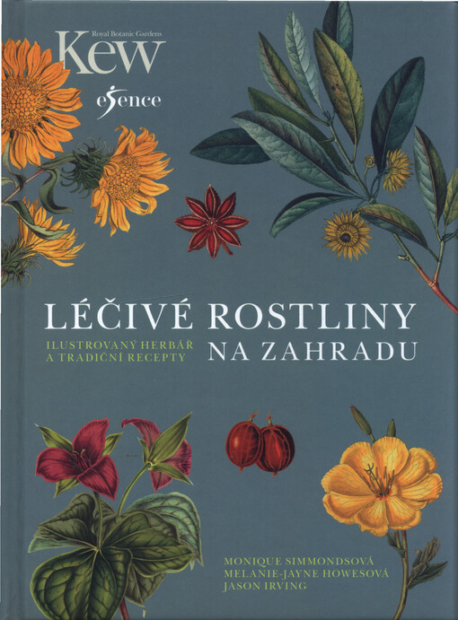 Léčivé rostliny na zahradu