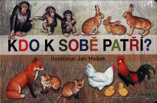 Kdo k sobě patří?