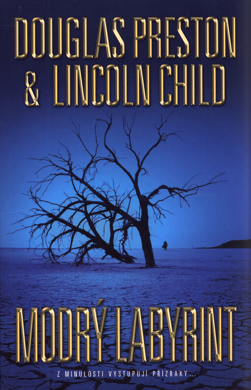 Modrý labyrint
