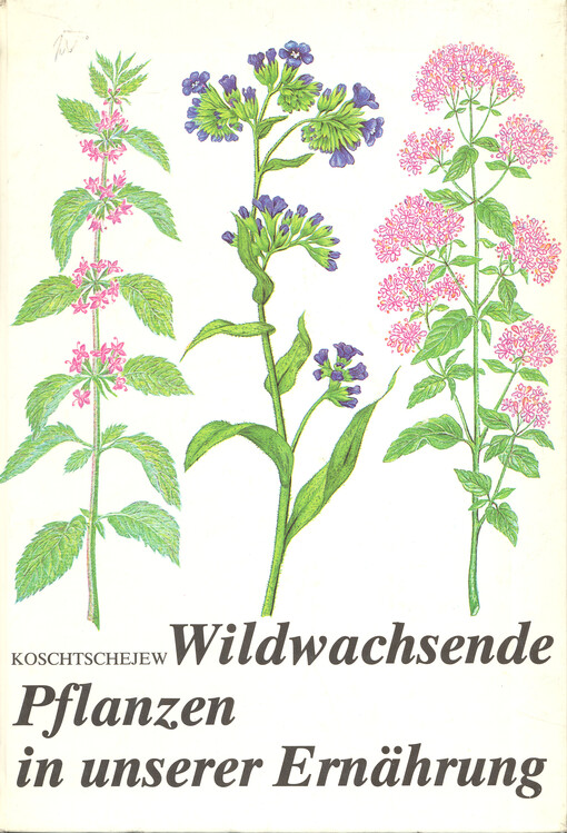Wildwachsende Pflanzen in unserer Ernährung
