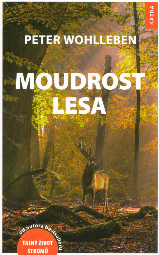 Moudrost lesa