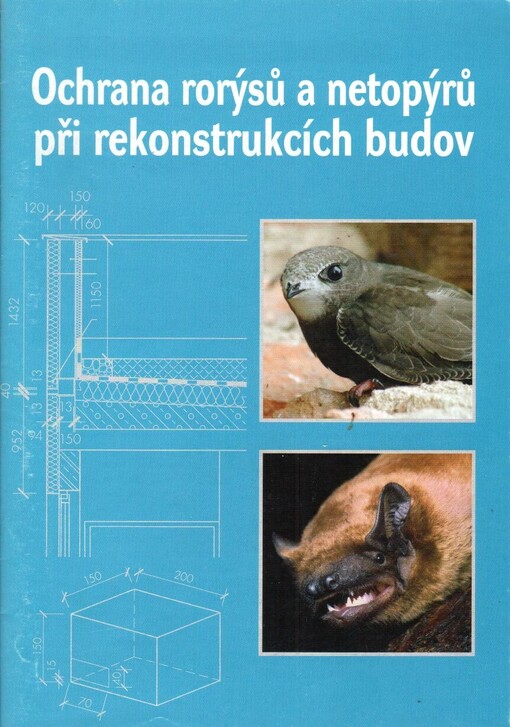 Ochrana rorýsů a netopýrů při rekonstrukcích budov