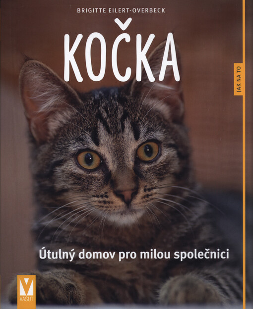 Kočka