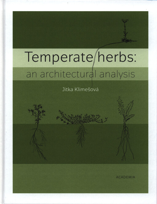 Temperate herbs : an architectural analysis