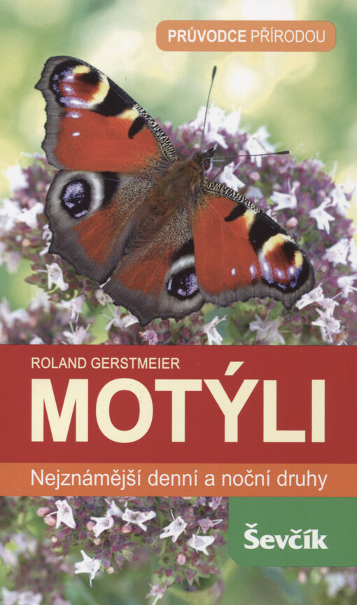 Motýli